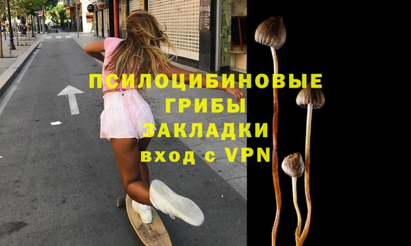 круглые Аркадак
