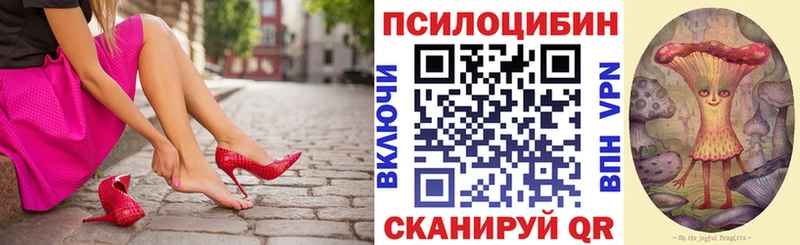 Купить закладки  Серафимович  Псилоцибиновые грибы Magic Shrooms 